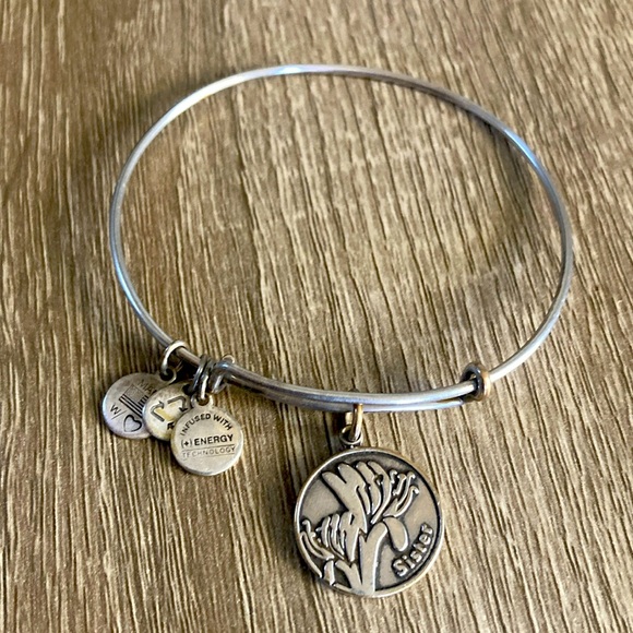 Alex and Ani Jewelry - Alex and Ani Sister Bracelet 2014 Silver Finish Stackable